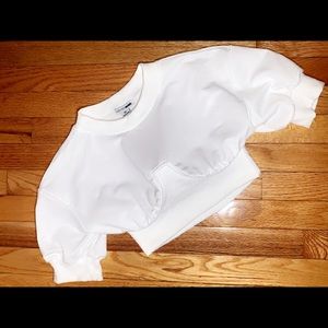 Cropped Corset Top (Fashion Nova)